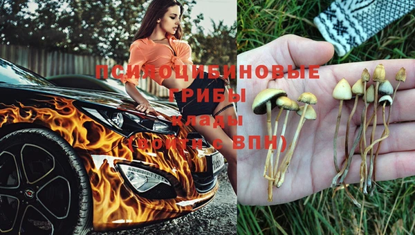 мдпв Наволоки