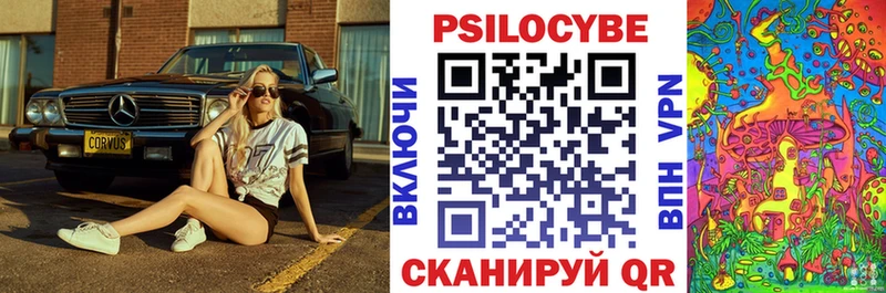 Псилоцибиновые грибы Psilocybe  Строитель 