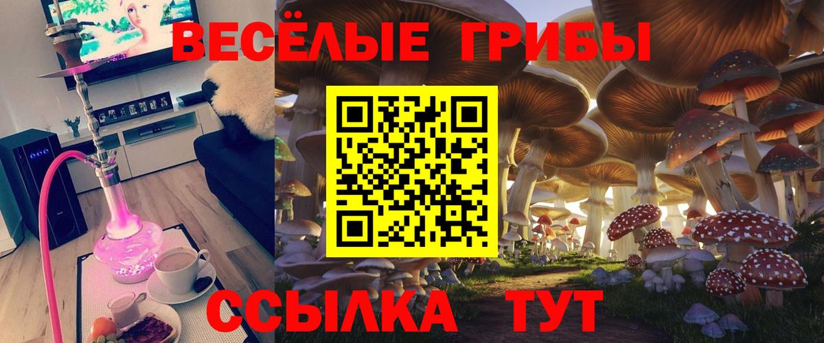 Строитель  купить наркоту  Вход с VPN  Галлюциногенные грибы Magic Shrooms 