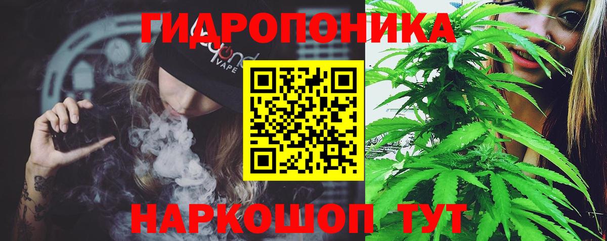 Бошки марихуана Amnesia Строитель